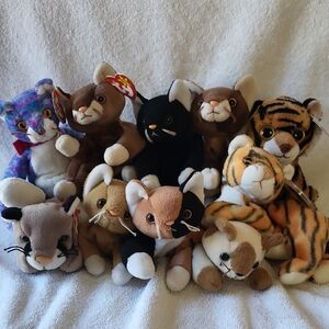 Assorted Ty Cat Beanie Babies